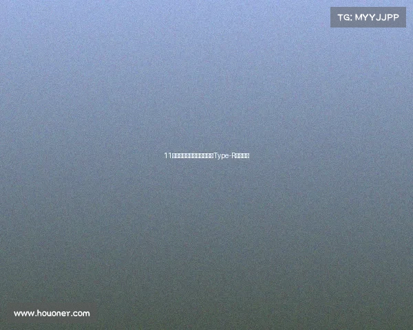 11代思域的顶级版本，新一代Type-R纽北测试