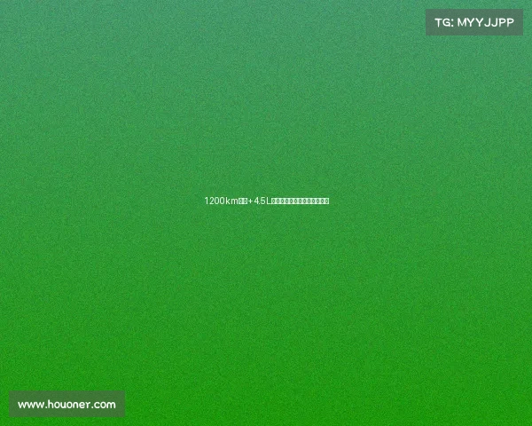 1200km续航+4.5L油耗！新款日产逍客官图发布